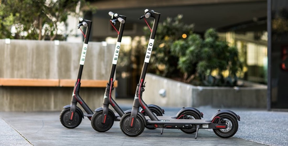 5 Best Folding Electric Scooter