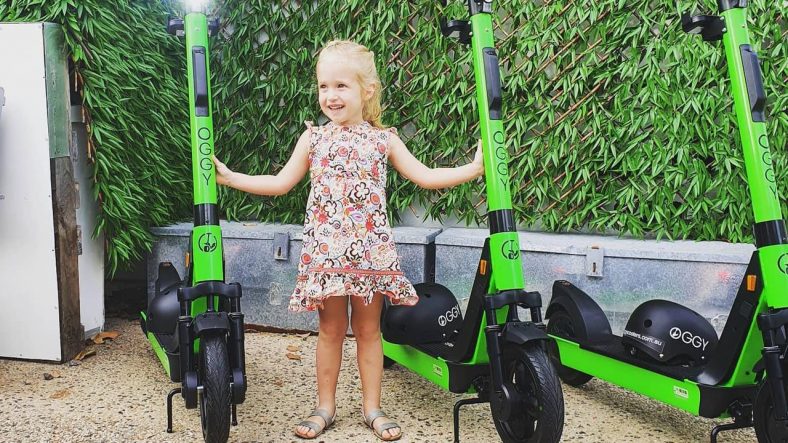 Best Electric Scooter For Climbing Hills 2021