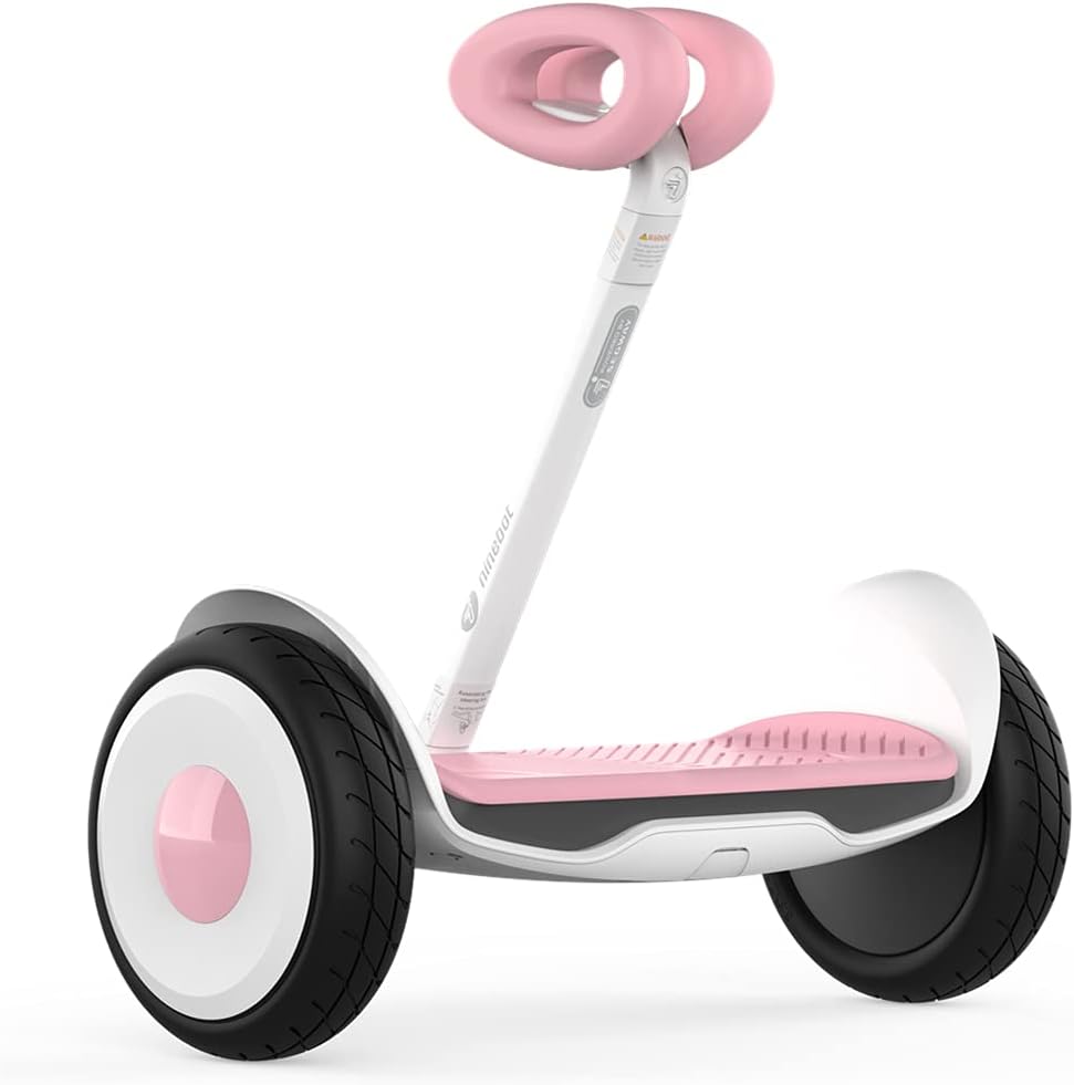 Segway Ninebot S