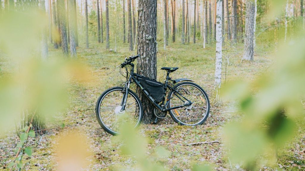 Electric bicycle leaning against a pine tree