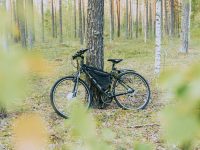 Electric bicycle leaning against a pine tree