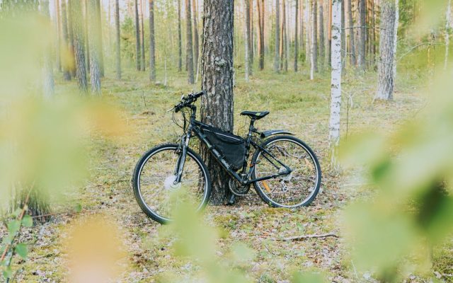 Electric bicycle leaning against a pine tree
