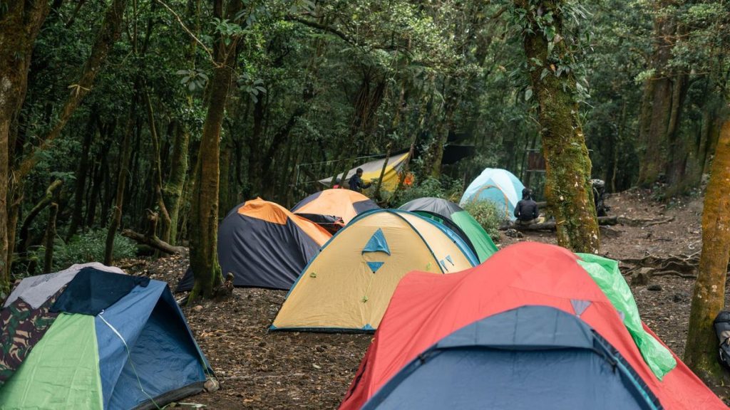 Forest campsite with colourful tents