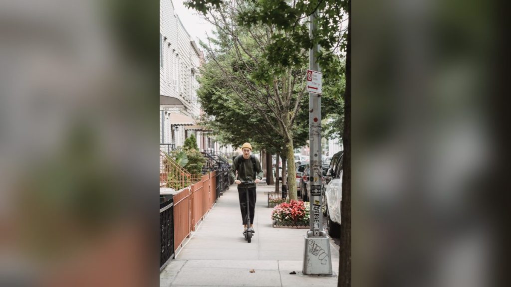 Man on an electric scooter on a tree-lined sidewalk