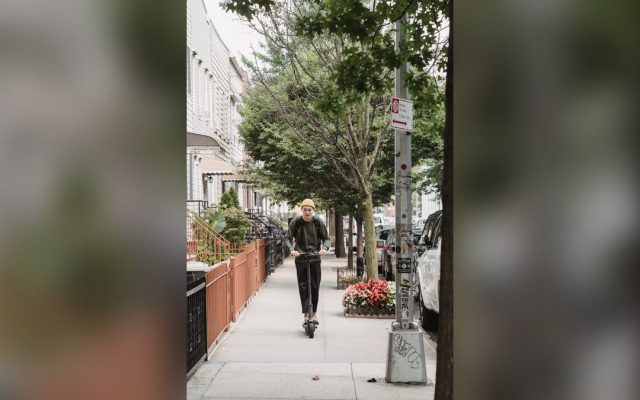 Man on an electric scooter on a tree-lined sidewalk