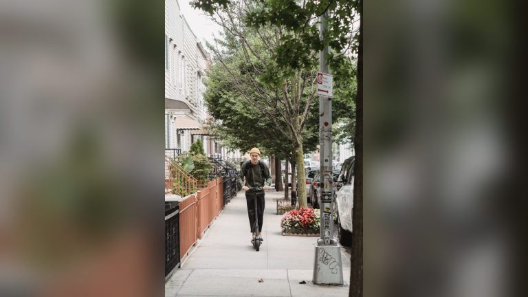 Man on an electric scooter on a tree-lined sidewalk
