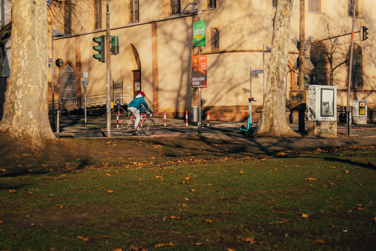 A cyclist rides through a tree-lined street in Frankfurt