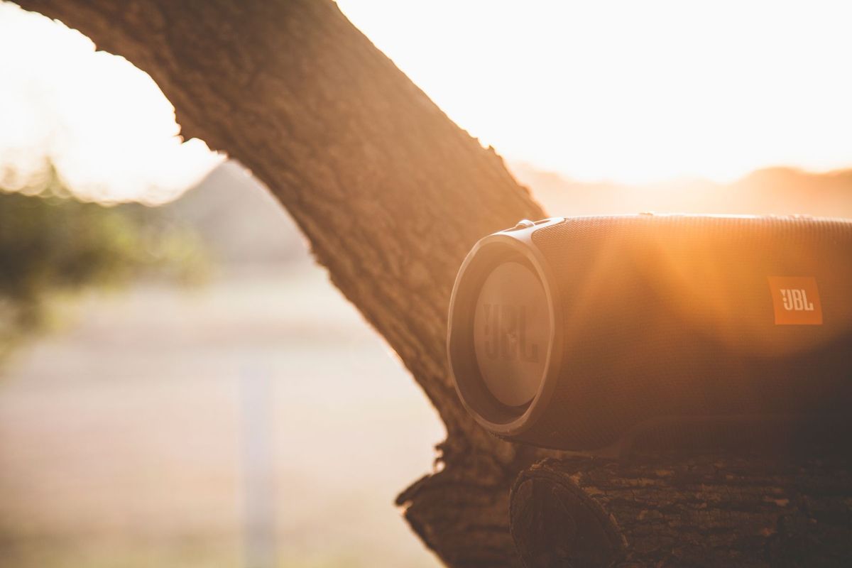 Close-up of a portable Bluetooth speaker on a tree with sun glare
