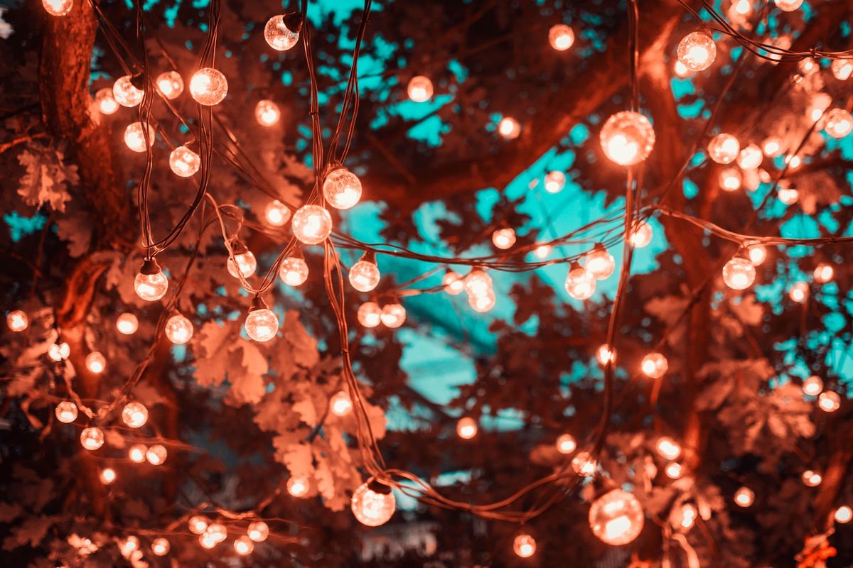 Magical scene with glowing string lights hanging in trees