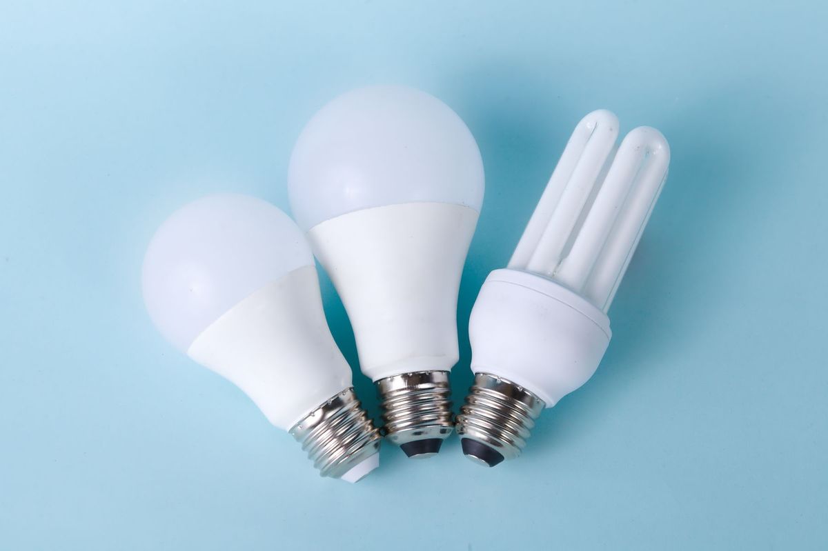 Three assorted LED and CFL light bulbs against a light blue background